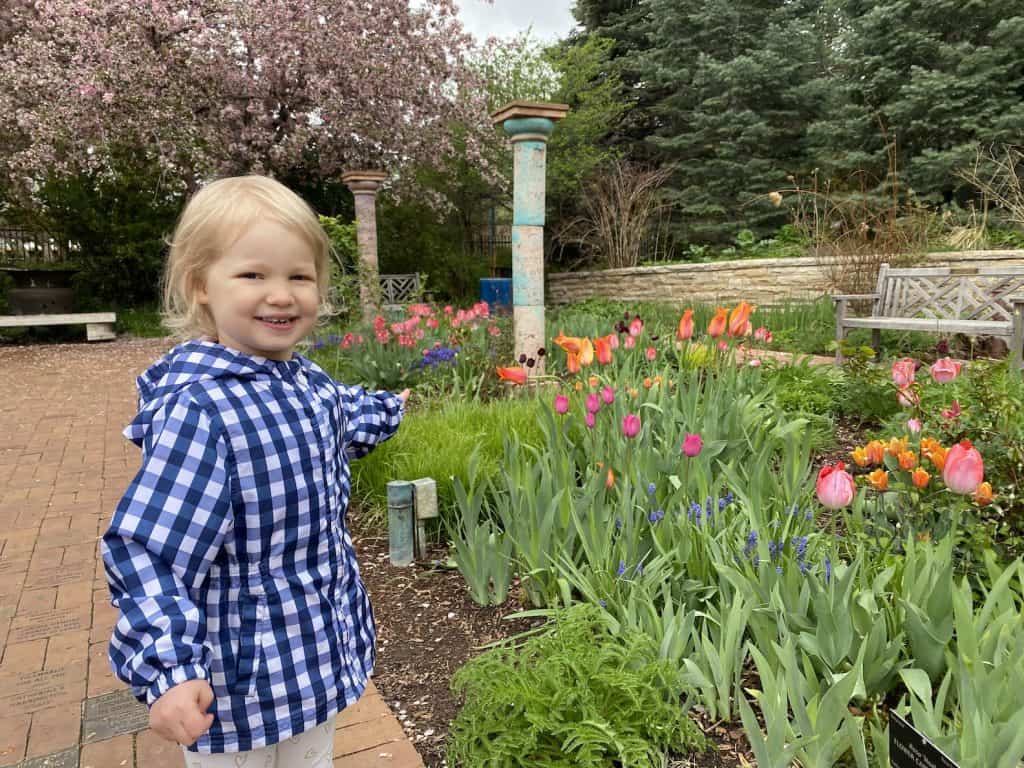 toddler smiling and pointing at colorful tulips with cherry blossom tree in background at the Denver Botanic Gardens. Denver Botanic Gardens, Denver, Colorado. Things to do in Denver.