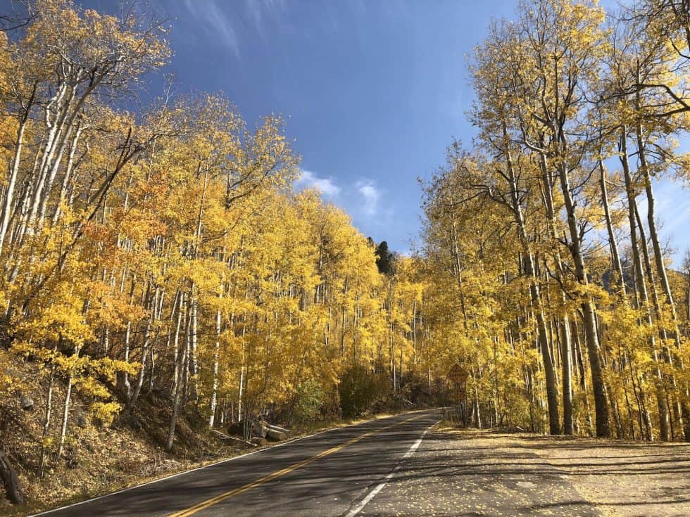 The Best Things To Do In Denver, Colorado During Fall (21 Easy Ideas!)