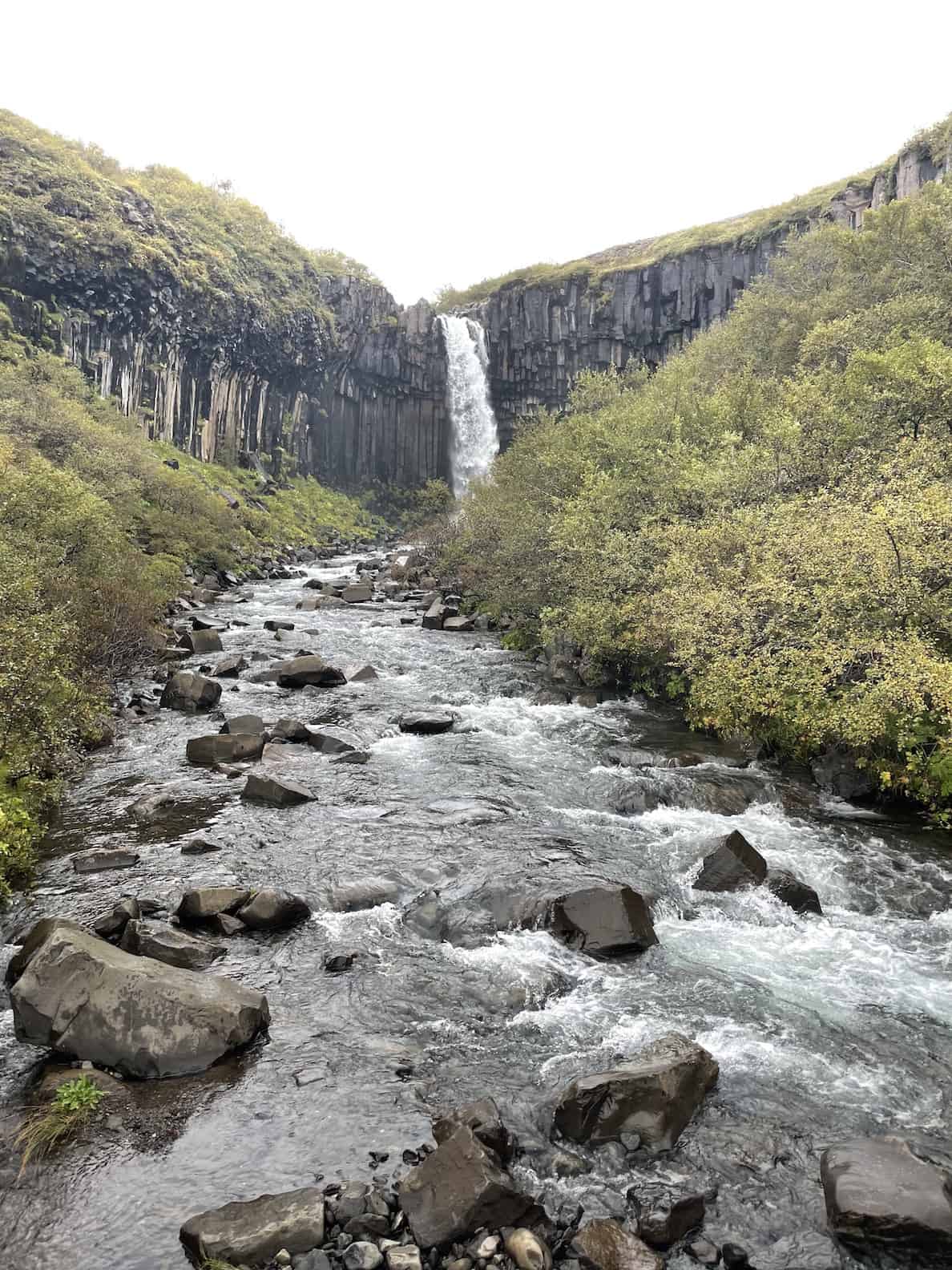 Svartifoss-waterfall-surrounded-by-black-basalt-column-cliff-lush-greenery-and-flowing-rocky-river-Skaftafell-national-park