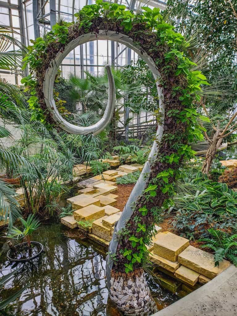 dramatic-greenery-in-indoor-conservatory-vines-growing-up-spiral-sculpture-Lauritzen-gardens