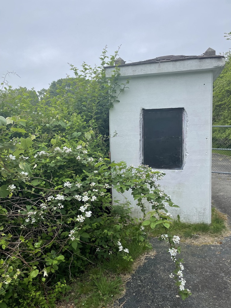 Small entrance station with boarded up window, bush with white flowers is growing over building, small entrance closed off with chain link fence in background. Camp Hero State Park, Montauk, New York, The Hamptons.