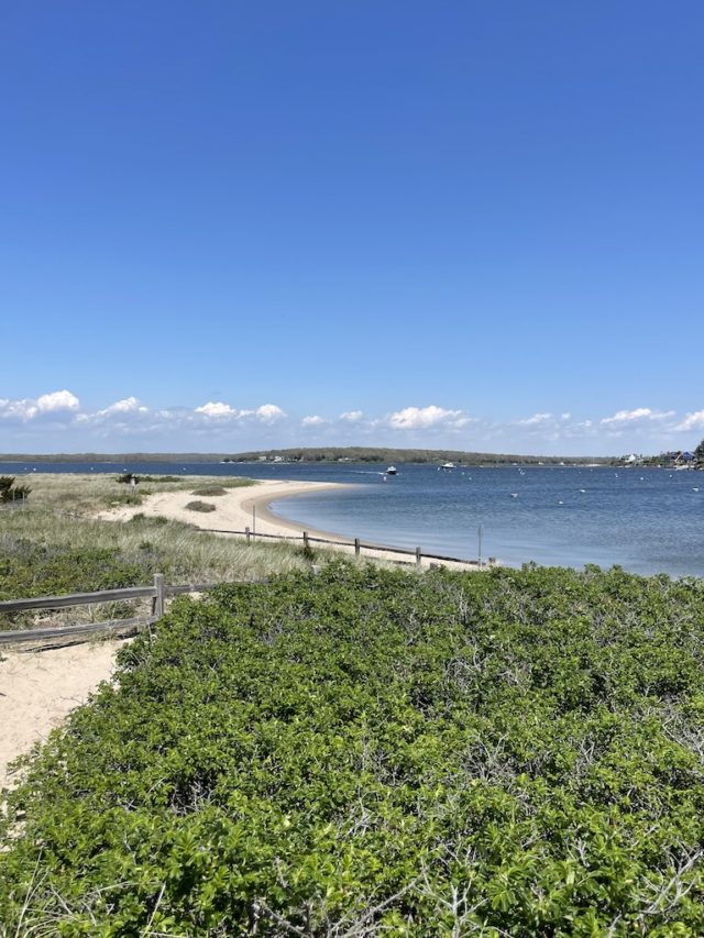 Beach with calm water and greenery in foreground on sunny spring day. Napatree Point Conservation Area, Watch Hill, Rhode Island.