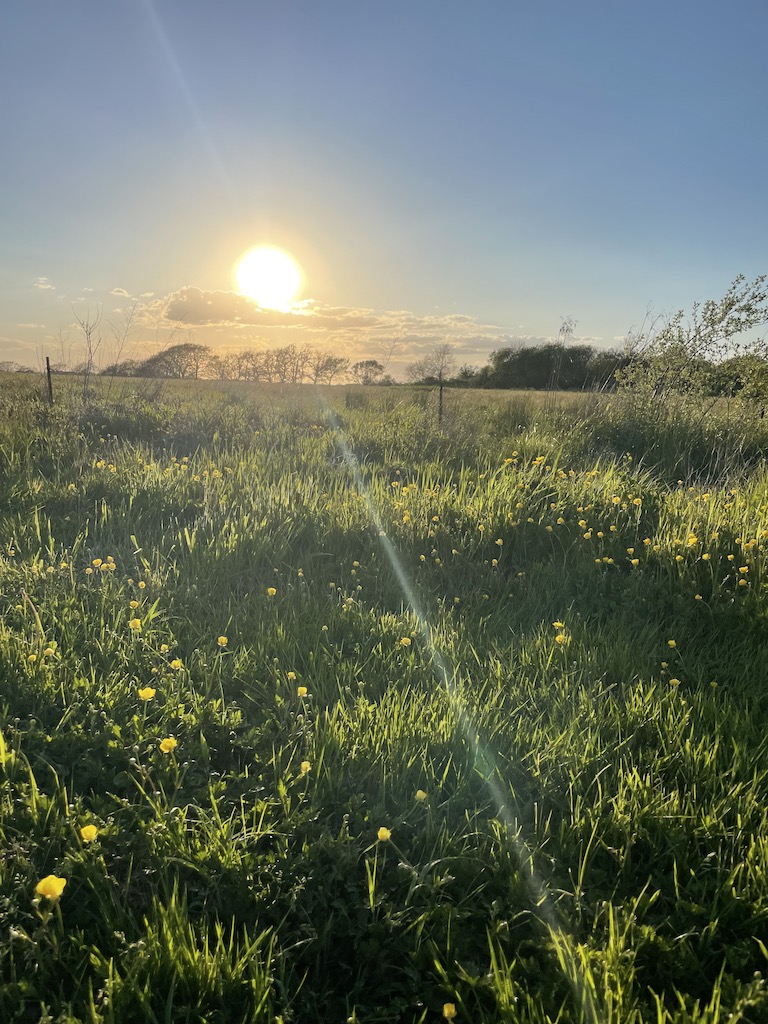 sunset field spring newport rhode island weekend itinerary