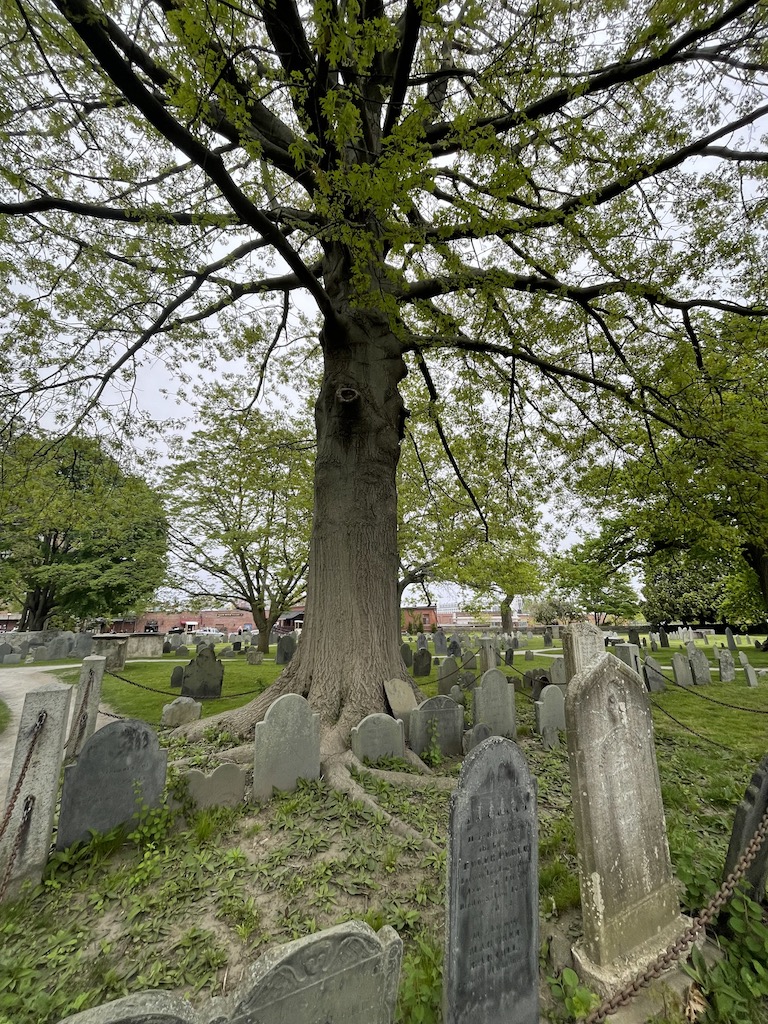 the burying point cemetery day trip to salem massachusetts