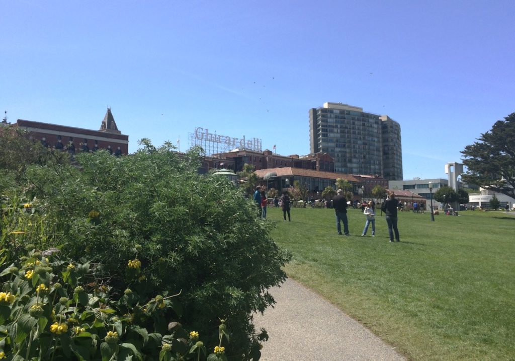 Ghirardelli square park lawn san francisco california