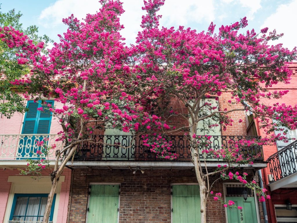 colorful homes garden district springtime new orleans louisiana