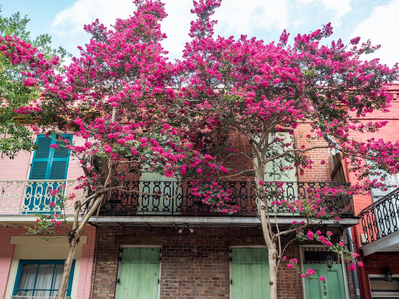 colorful homes garden district springtime new orleans louisiana