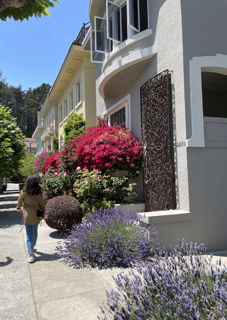 Woman walking past townhome/row homes surrounded by beautiful, colorful flowers. San Francisco, California. 1 Day in San Francisco itinerary.