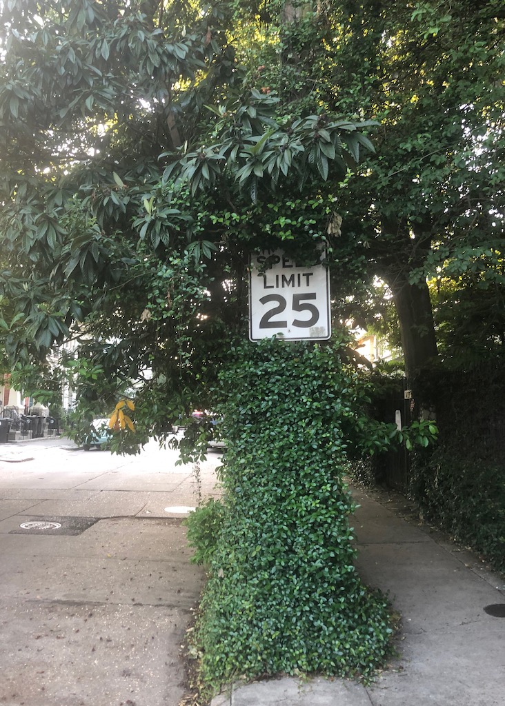 ivy covering stop sign in garden district new orleans louisiana