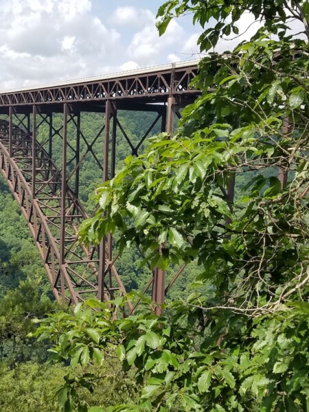 Huge, arched steel bridge spanning bright green gorge. New River Gorge Bridge, New River Gorge National Park, West Virginia.