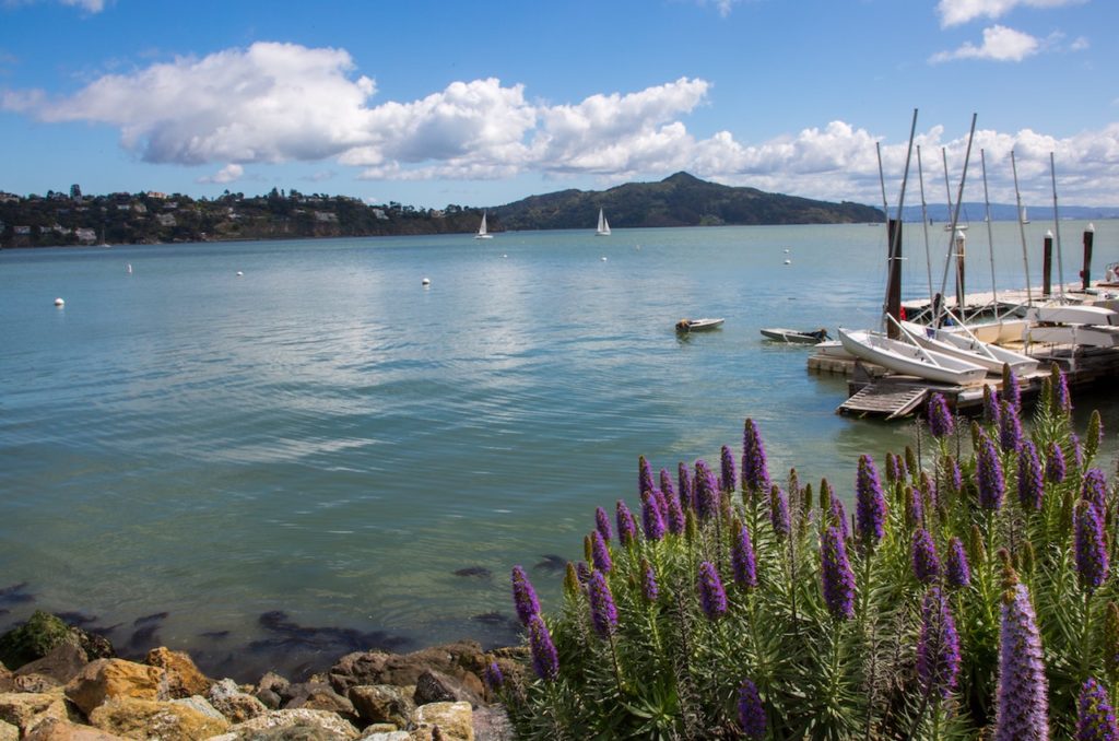 san francisco bay Sausalito california