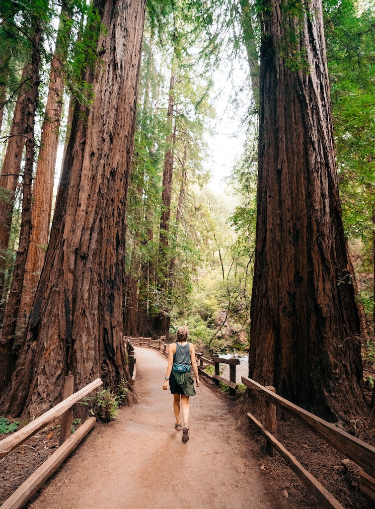 woman hiking muir woods national monument san francisco california