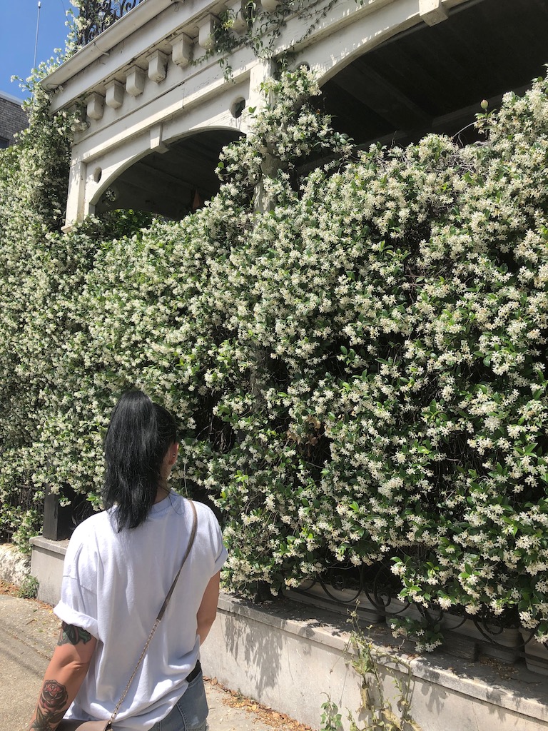 woman walking past flower new orleans garden district louisiana