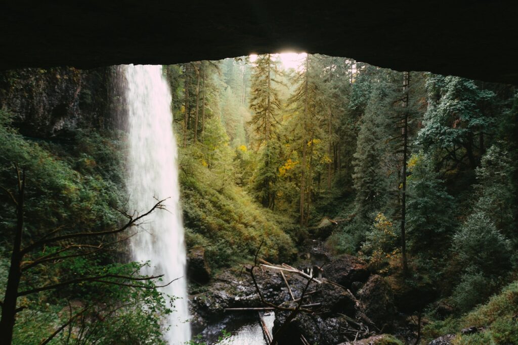 Lush green forest with pine trees. Vantage point is from behind a waterfall, standing under a cliffside. Silver Falls State Park, Oregon. Cheap things to do in Portland, Oregon.