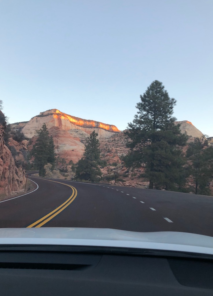 Paved road winding through red rock cliffs and pine trees. Mt Carmel Highway, Zion National Park, Utah.