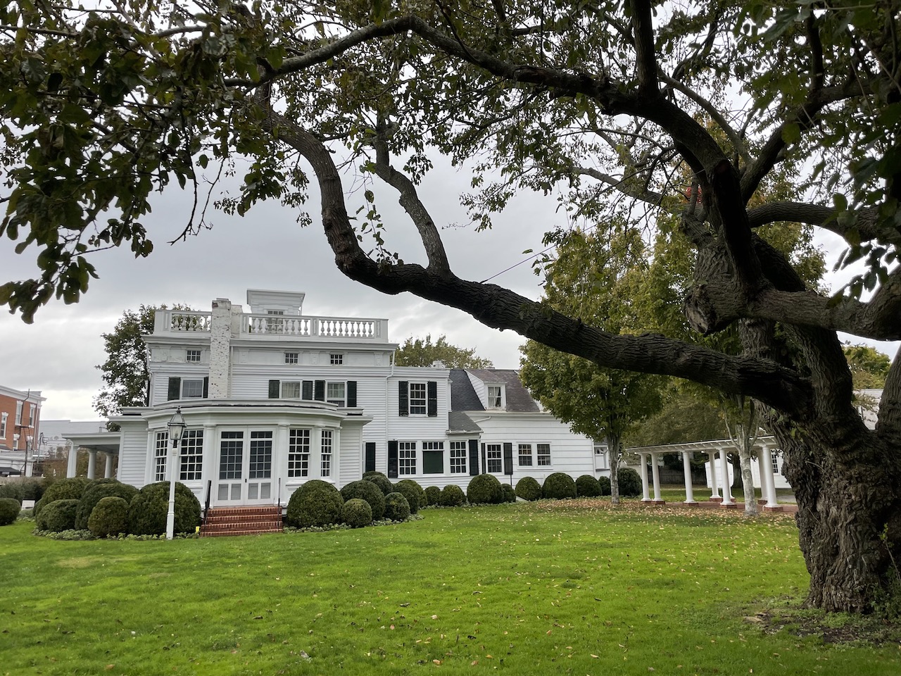 Large white home with black shutters, neat green lawn, well manicured bushes, and large, mature tree towering over home. Rogers Mansion, Southampton History Museum, Southampton, New York, The Hamptons.