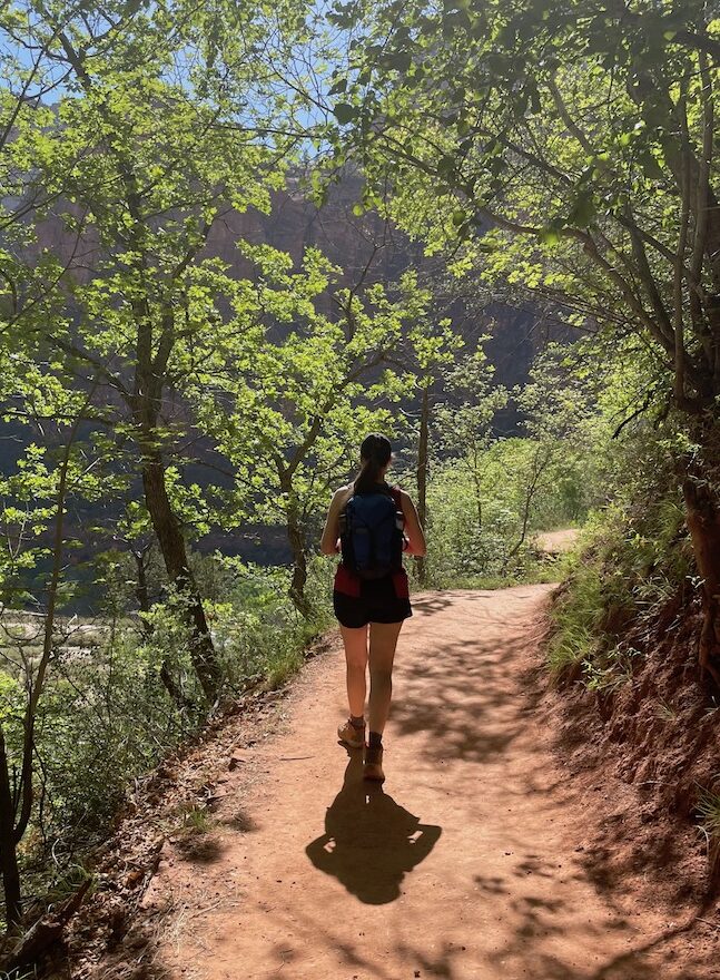 Woman hiking red dirt trail with green trees rising up on either side of her on hot summer day in desert. Emerald Pools hiking trail, Zion National Park, Utah.