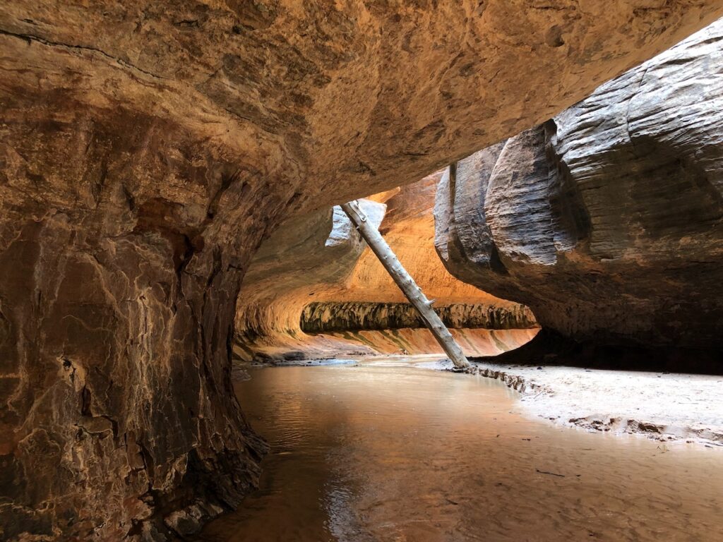 zion national park the subway hike utah