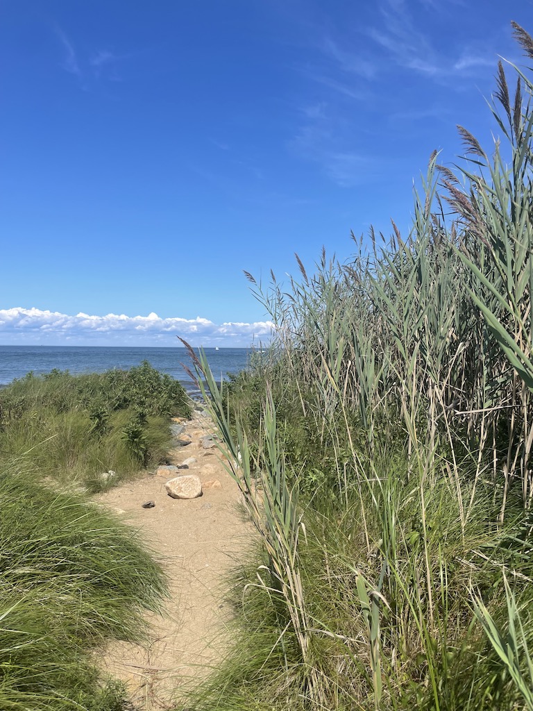 beach hiking trail montauk point state park new york the hamptons