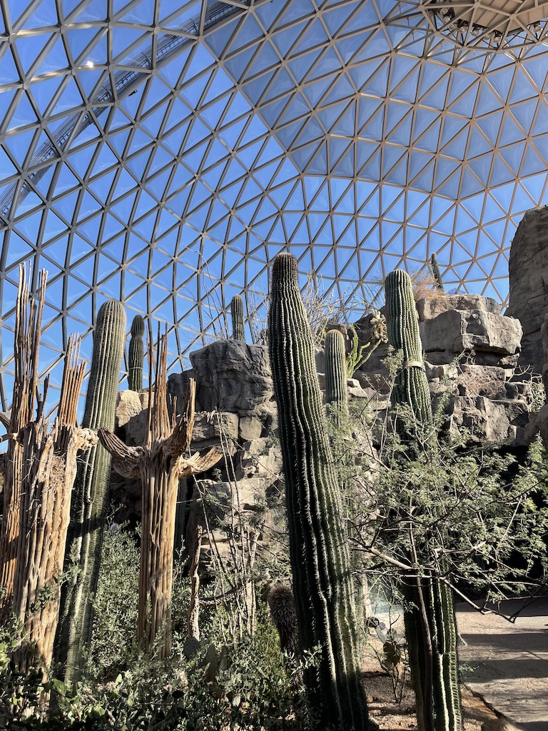 Cactus desert landscape in huge dome. Henry Doorly Zoo, Omaha, Nebraska.