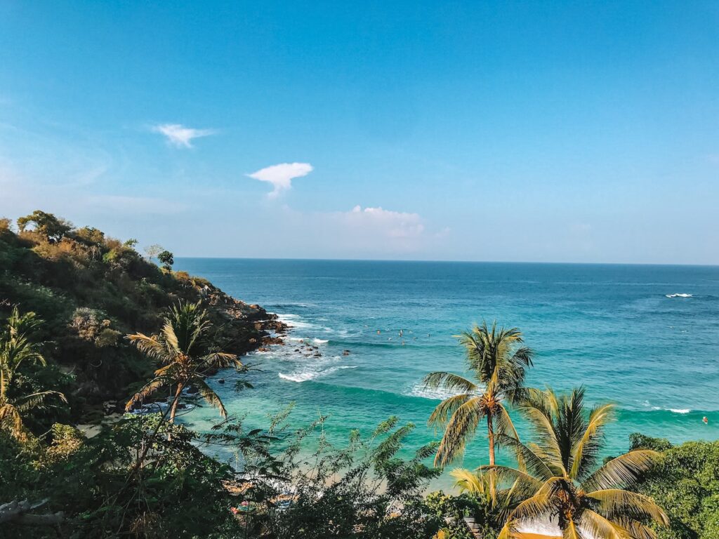 carrizalillo puerto escondido oaxaca mexico beach