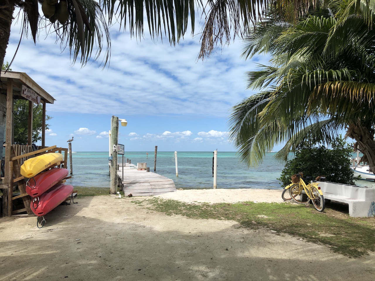caye caulker belize caribbean island kayaks bikes palm trees water views copy