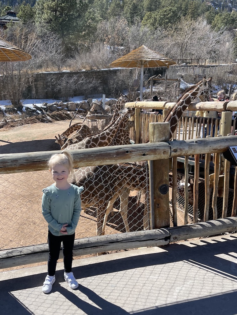 3 year old girl smiling and standing in front of outdoor giraffe exhibit at zoo. Cheyenne Mountain Zoo, Colorado Springs, Colorado.