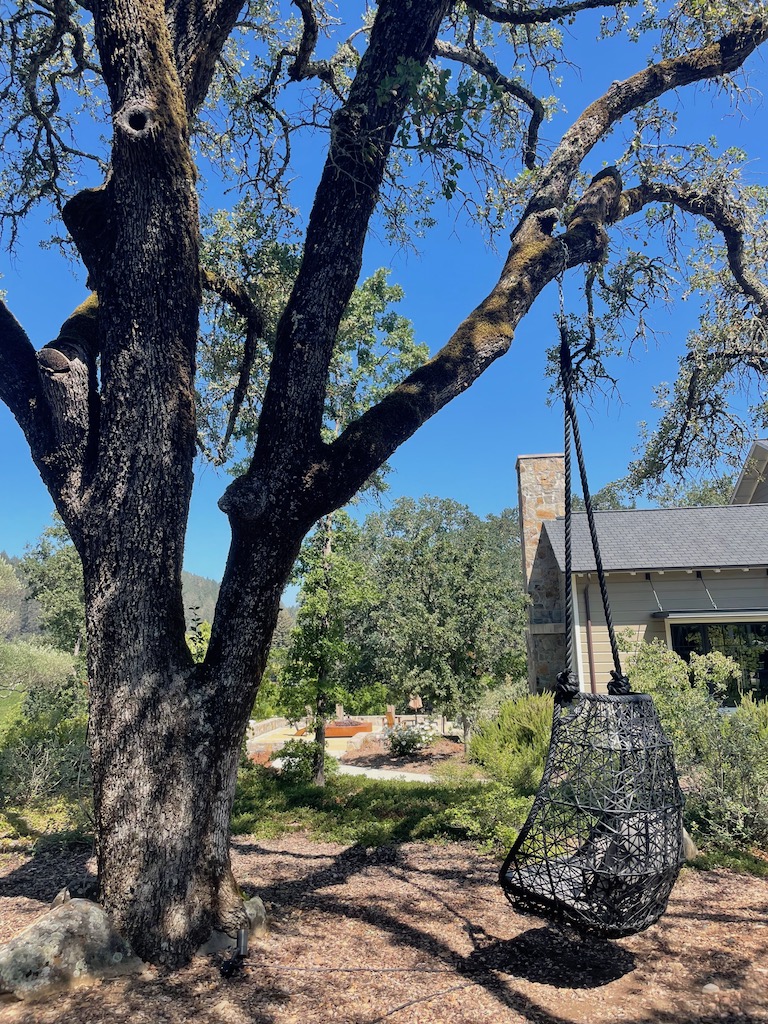 napa valley vineyard swinging chair california