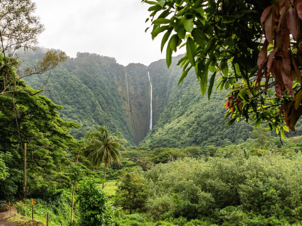 waipio valley waterfall mountains tropics big island of hawaii