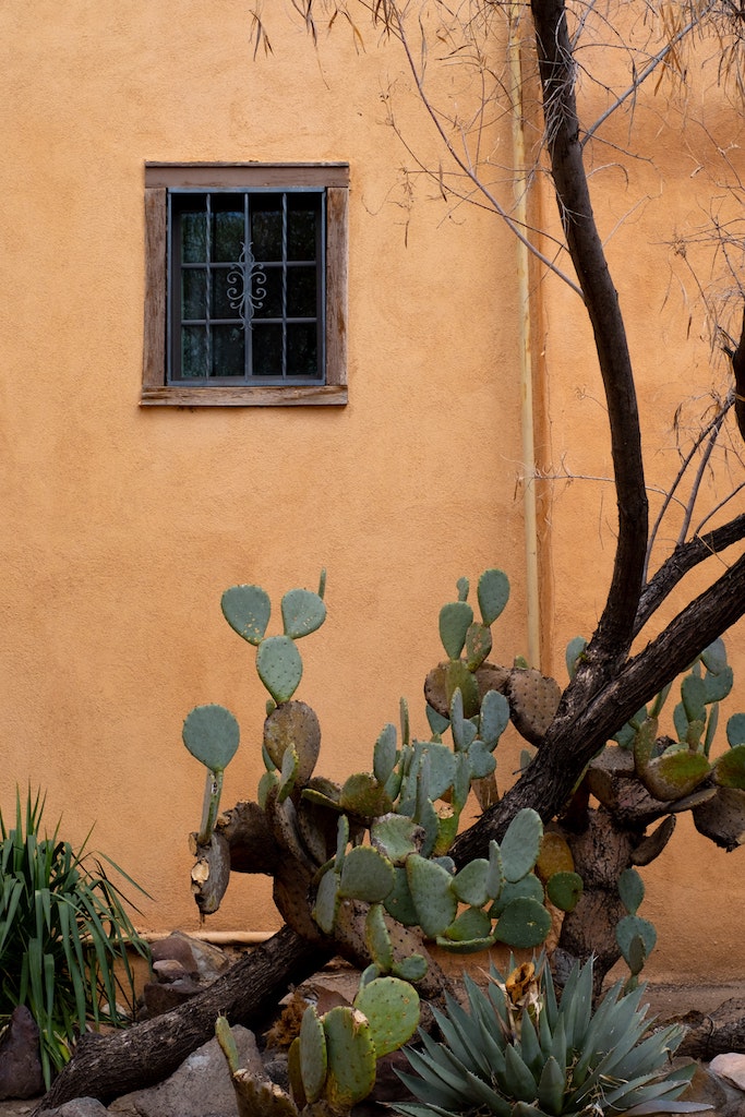 santa fe new mexico adobe building prickly pear cactus