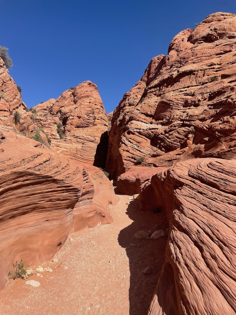 Red rock formed in wave-like formations with sandy, red trail in center of rocks. Bright blue sunny day. Wire Pass to Buckskin Gulch hiking trail, Grand Staircase-Escalante National Monument, Kanab, Utah
