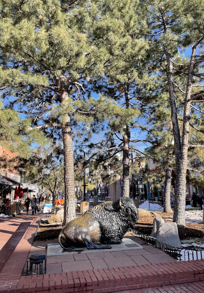 Bronze buffalo statue "laying" under pine trees on Pearl Street Mall on sunny day. Pearl Street Mall, Boulder, Colorado.