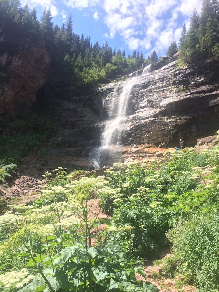 Multi level waterfall falling down rock face surrounded by pine trees with wildflowers in foreground on sunny summer day. Bear Creek Falls Trail, San Juan Mountains, Telluride, Colorado.