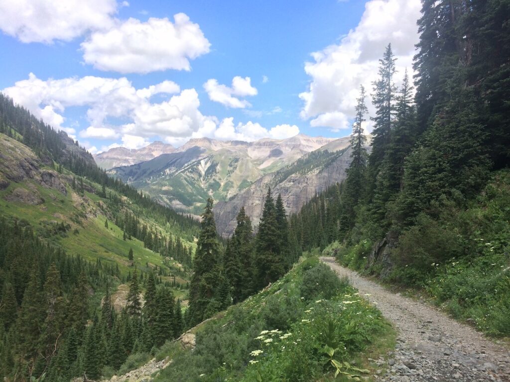 Mountain trail winding through incredible mountain views surrounded by pine trees, lush greenery, and wildflowers on sunny summer day. Blue Lakes Trail, San Juan Mountains, Telluride, Colorado.
