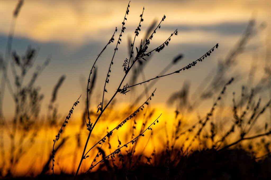 sunset standing bear lake omaha nebraska