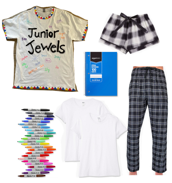 taylor swift junior jewels costume you belong with me mustic video