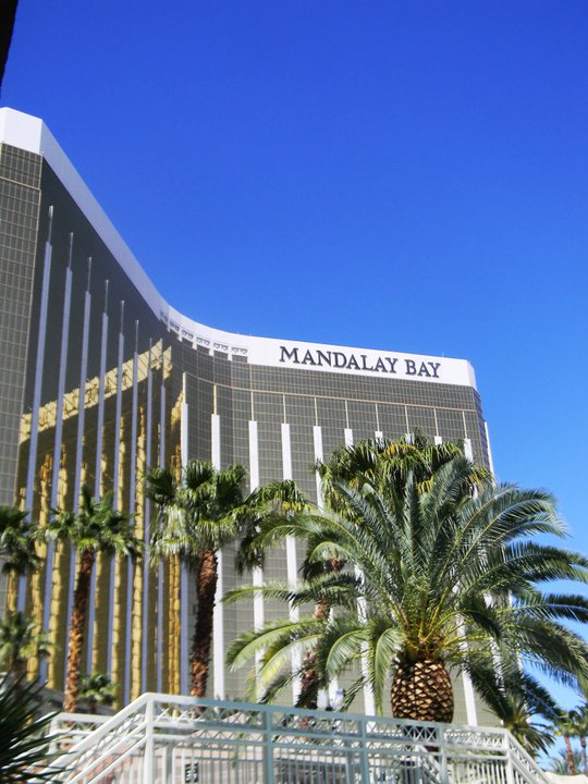 Mandalay Bay pool day Las Vegas Nevada