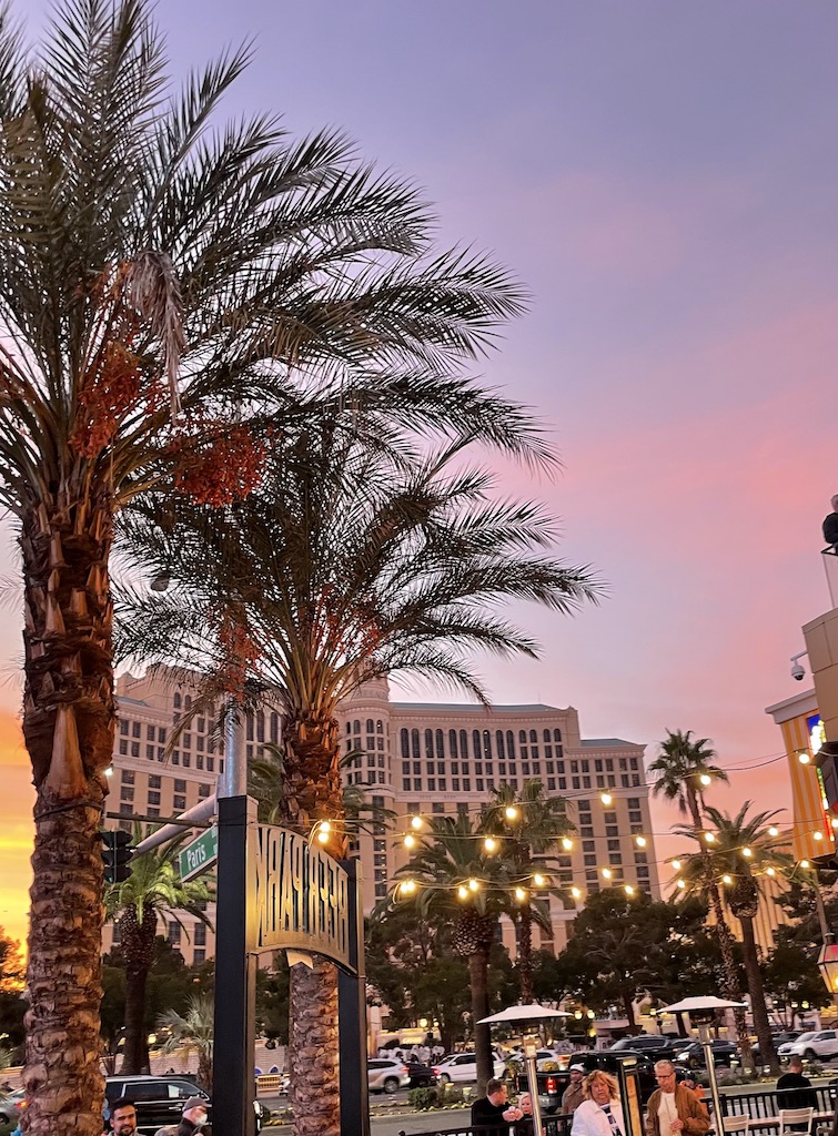 sunset on the strip paris las vegas nevada palm trees