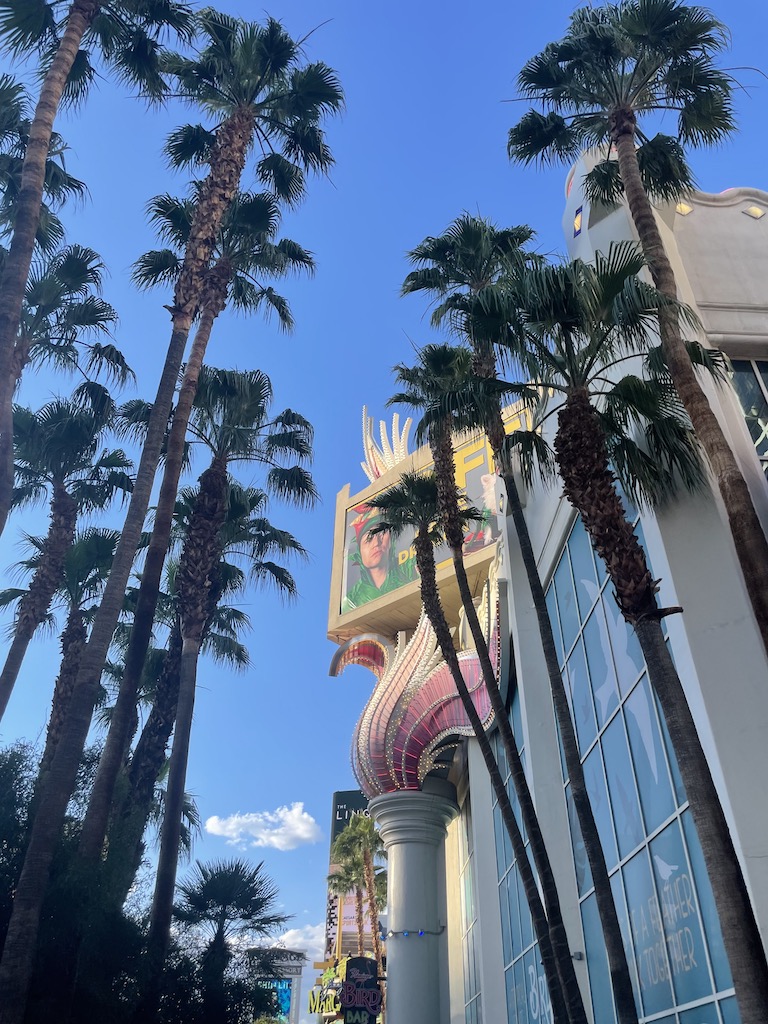 walking the strip las vegas palm trees flamingo hotel nevada