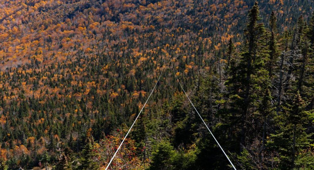 Ziplining fall colors zip rider stowe mountain resort Stowe Vermont