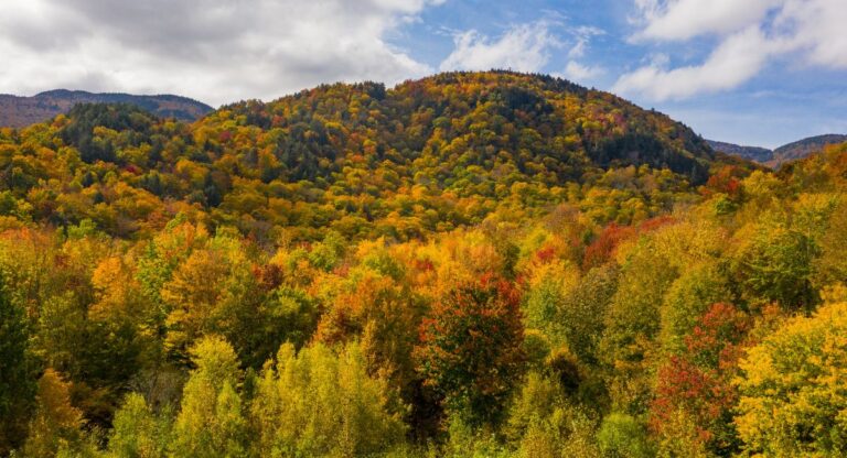 Small rolling mountain hill covered in colorful fall foliage of yellow, green, red, and orange on sunny fall day. Fall foliage in Stowe, Vermont.