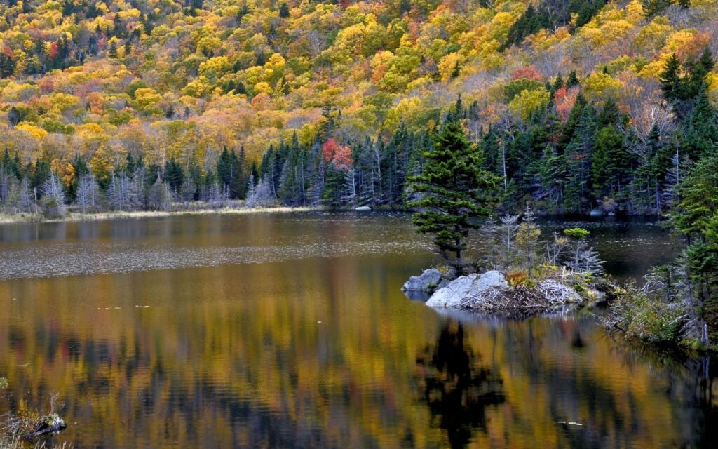 Beaver Pond Scenic Area kinsman notch white mountains new hampshire