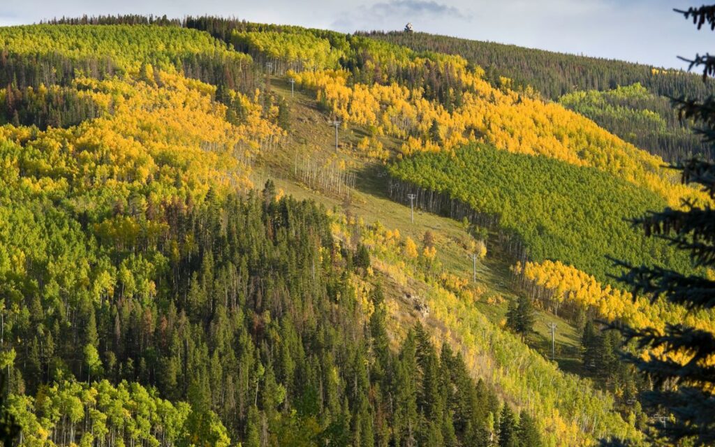 Vail ski resort fall colors colorado