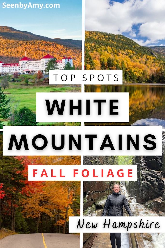 fall foliage in the white mountains