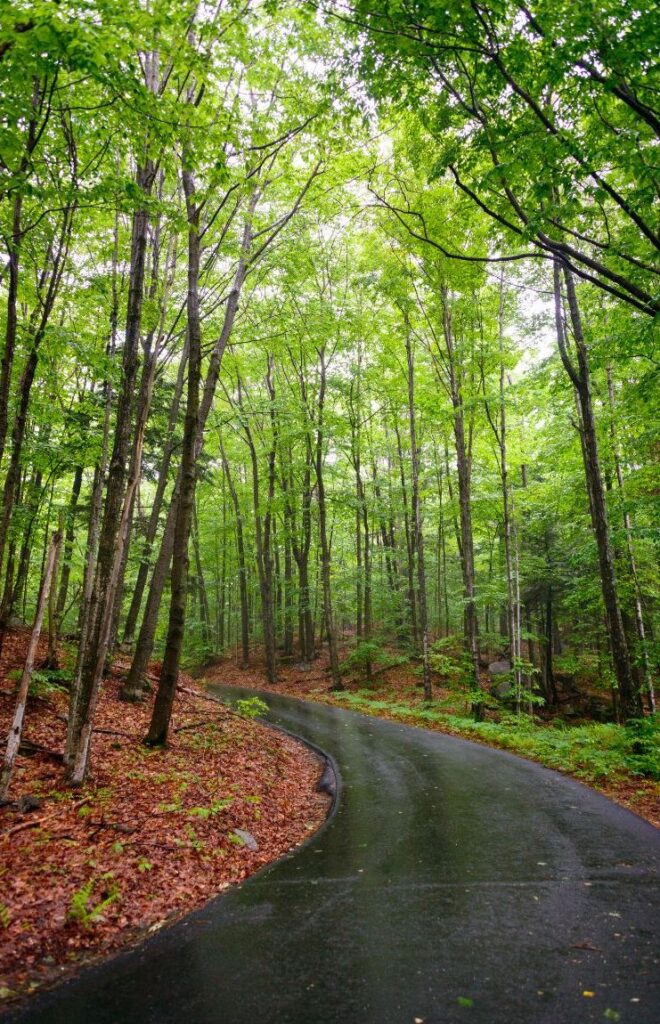 franconia notch recreation path franconia notch state park white mountains new hampshire