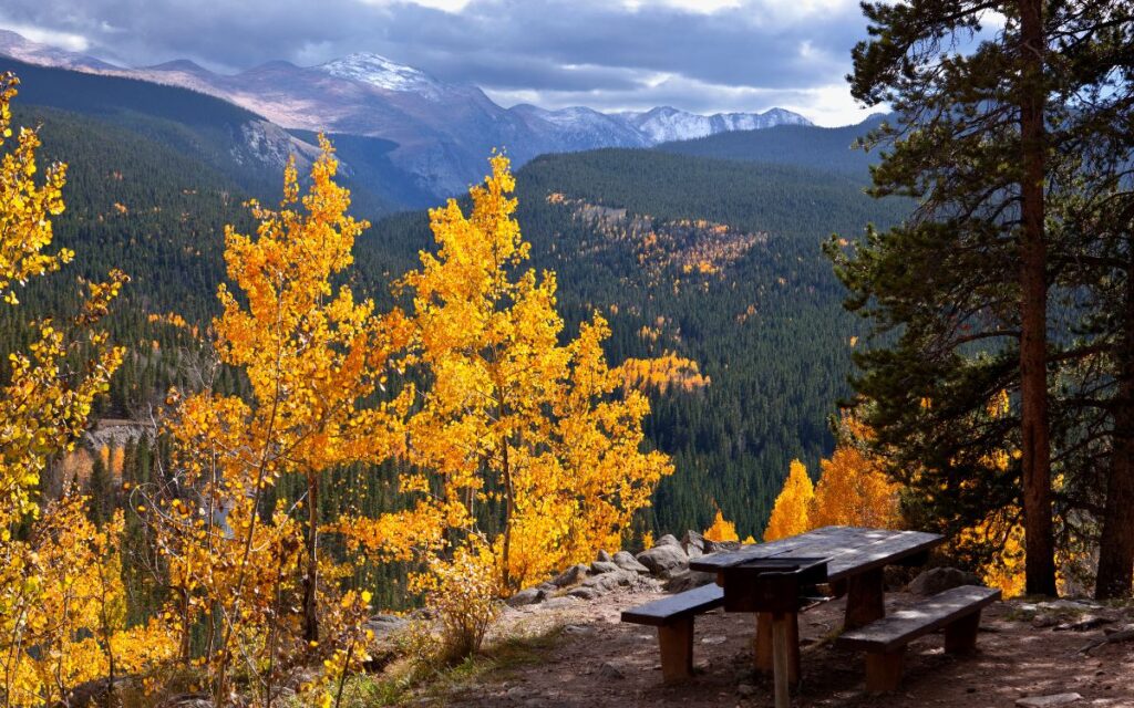 mt evans wilderness Area fall colors colorado