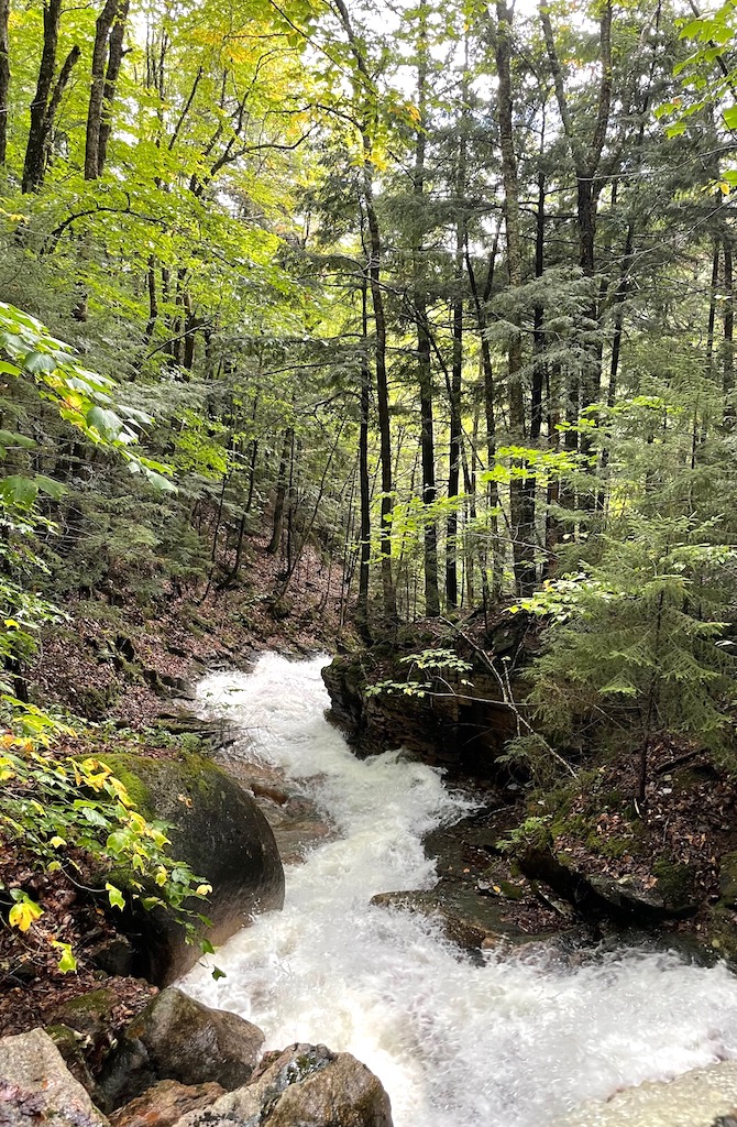 river forest hiking franconia notch state park white mountains new hampshire