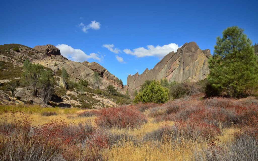 Pinnacles national park california