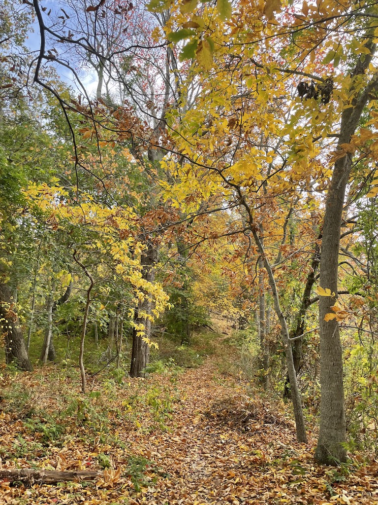 fall foliage trout pond park the hamptons sag harbor new york
