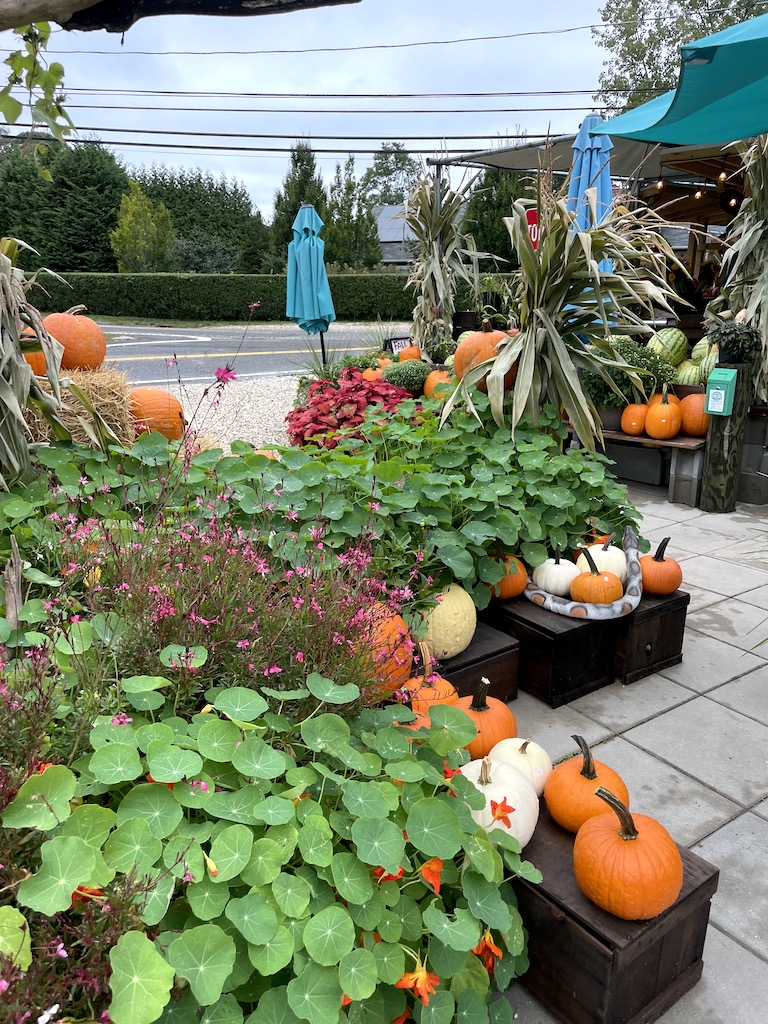farm stand in fall pumpkins serene green farm sag harbor new york the hamptons